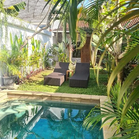 Auberge de jeunesse The Jungle House