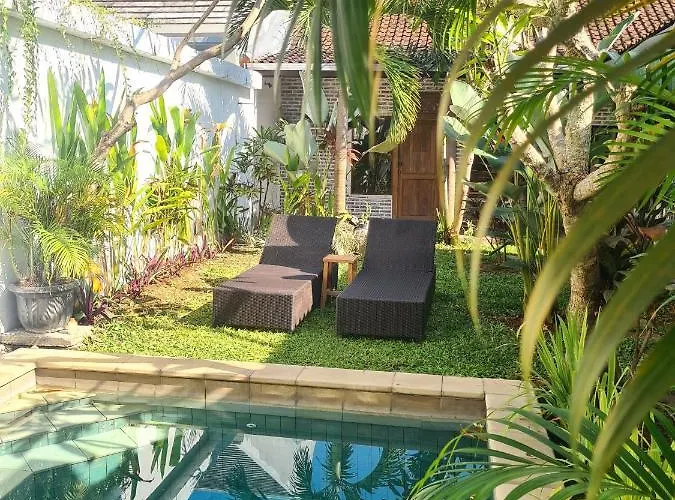 The Jungle House ホステル チャングー