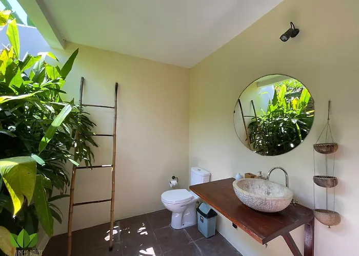 The Jungle House