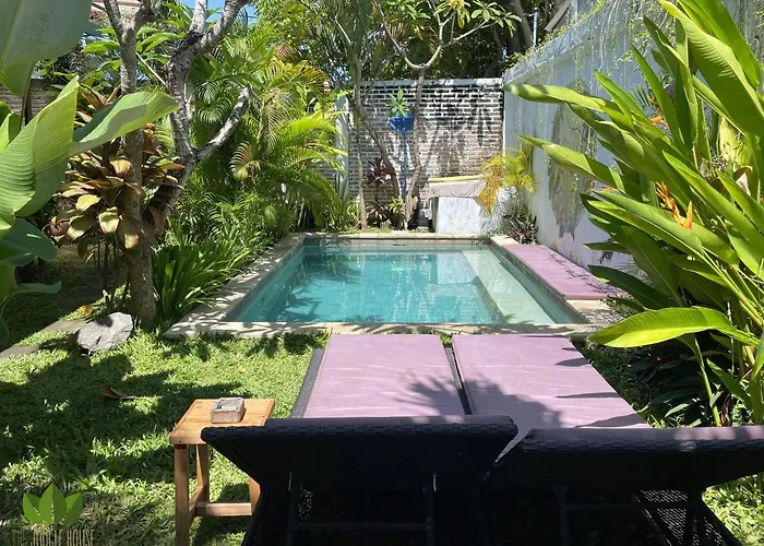 The Jungle House チャングー