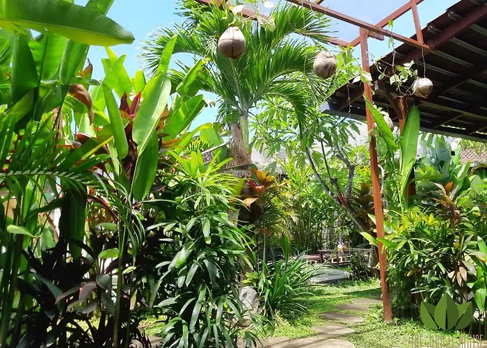 The Jungle House チャングー